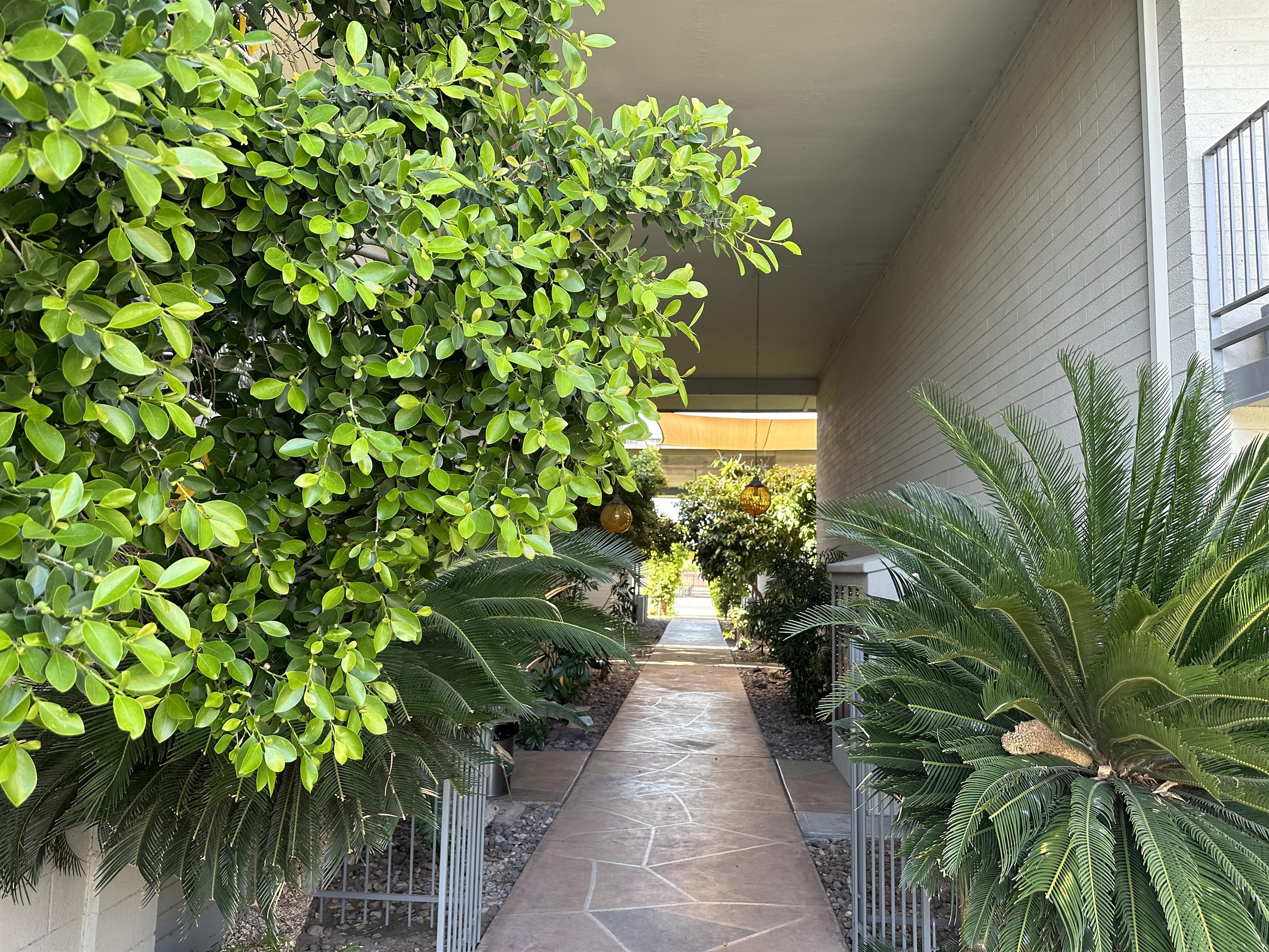 1107 West Osborn Road, Unit 201 - 1